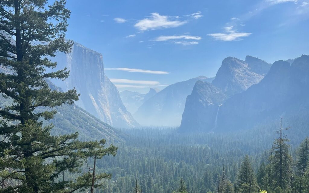 An overlook of a chasm with a forest of evergreen trees and mountains everywhere